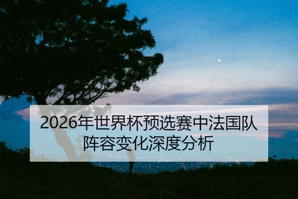 nian-shi-jie-bei-yu-xuan-sai-zhong-fa-guo-dui-zhen-rong-bian-hua-shen-du-fen-xi-2-494.jpg