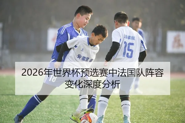 2026年世界杯预选赛中法国队阵容变化深度分析