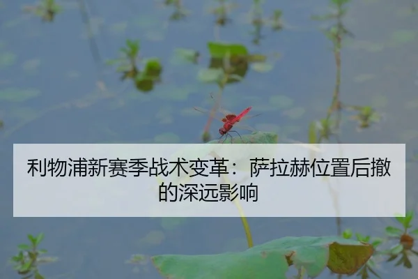 li-wu-pu-xin-sai-ji-zhan-shu-bian-ge-sa-la-he-wei-zhi-hou-che-de-shen-yuan-ying-xiang-2-210.jpg