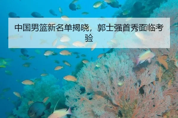 中国男篮新名单揭晓，郭士强首秀面临考验