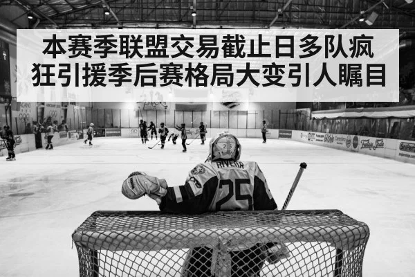 ice hockey playoff game